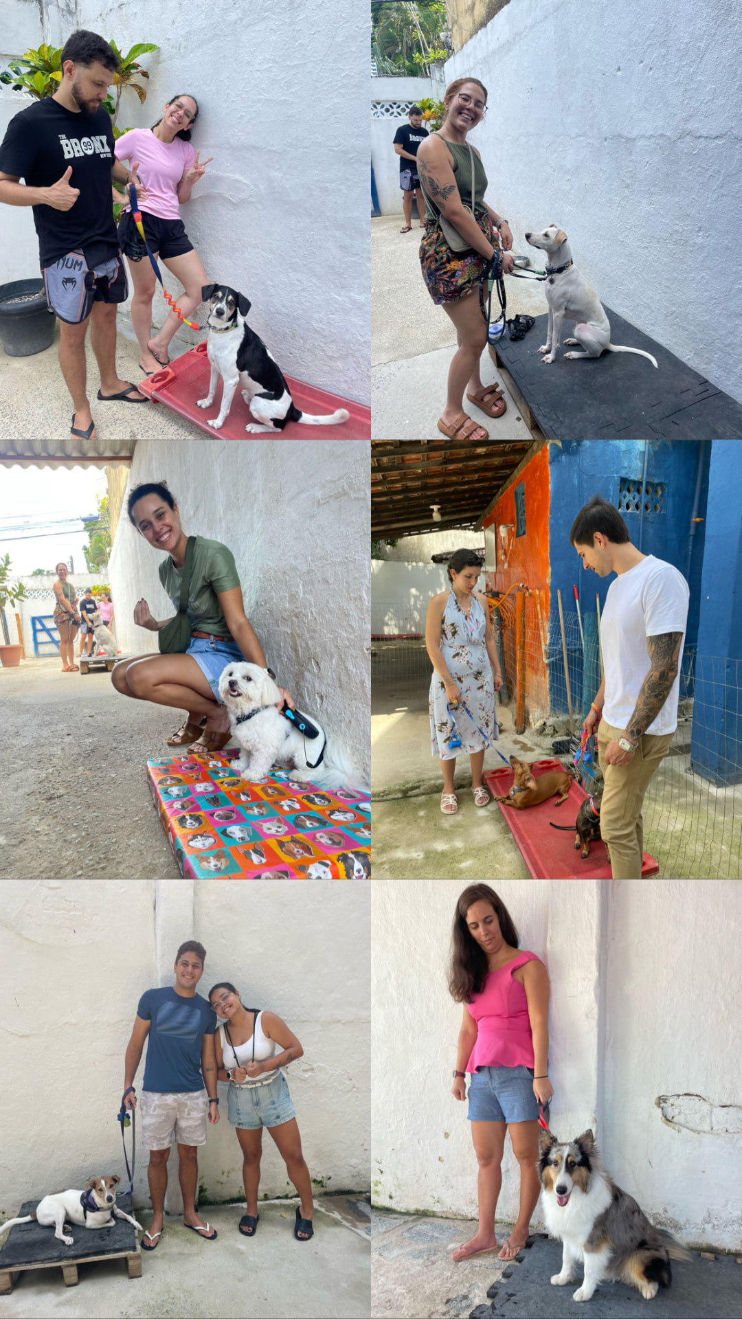Tutores e seus cães nas aulas em grupo de adestramento da LS Adestra