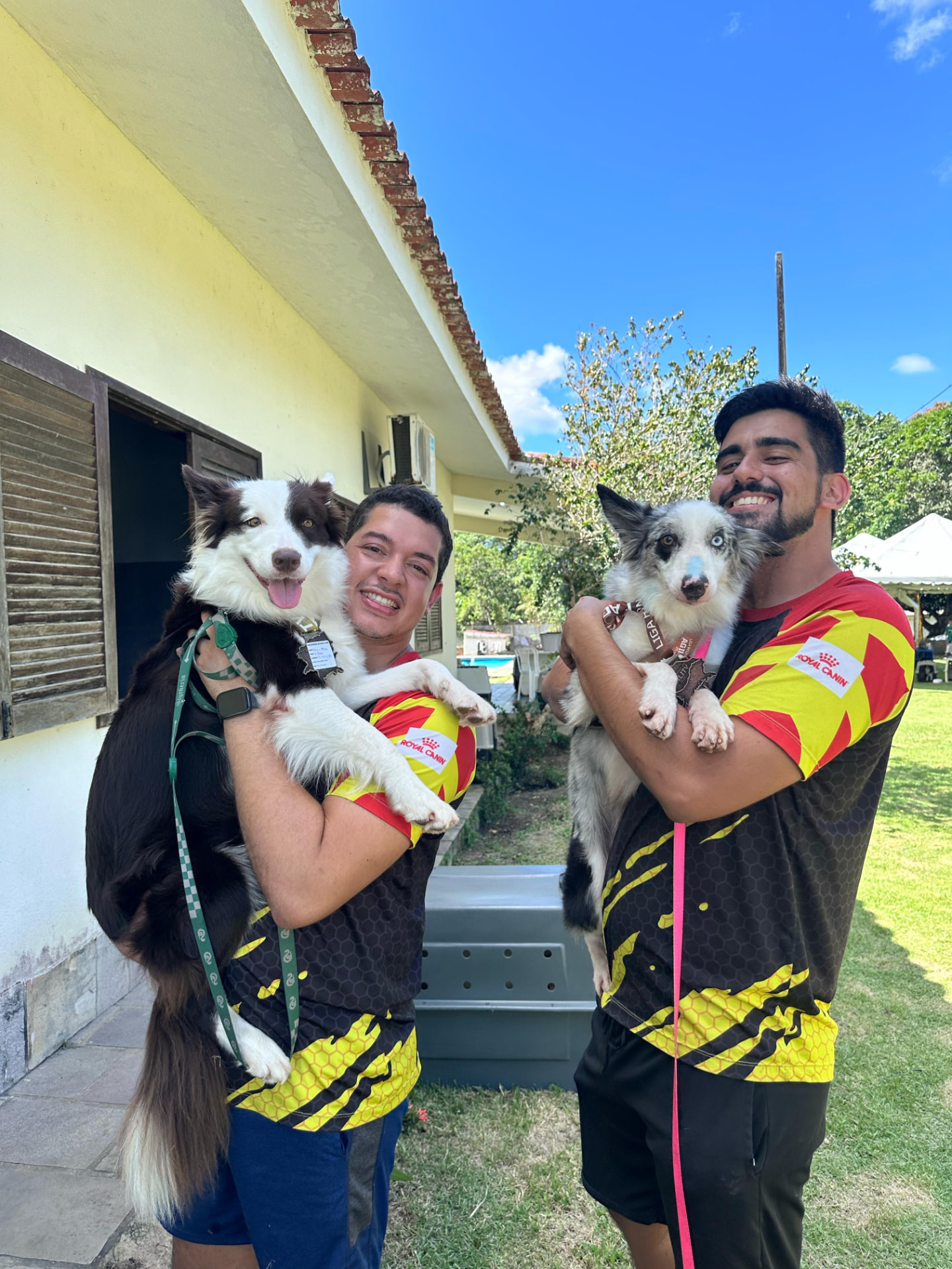 Luiz e Lucas com seus border collies em dia de competição